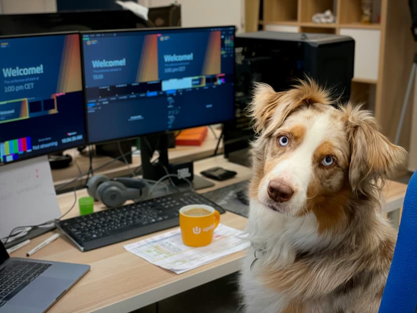 Level Up Your Paw-sitive Training: Why AI is the Future of Dog Guidance at AutoDoggy